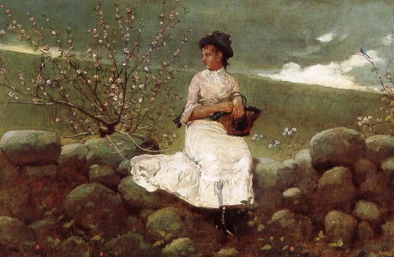 Winslow Homer Peach bloom Sweden oil painting art